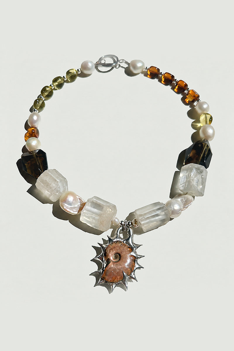 Ammonite Solstice